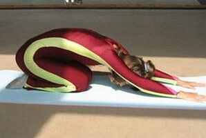 النشاط البدني لفقدان الوزن